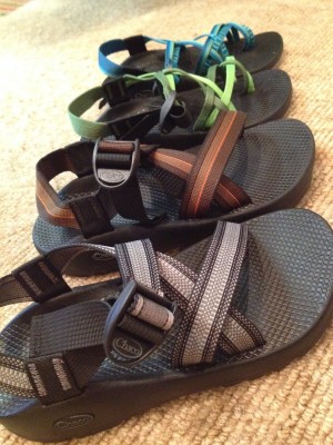 Chaco Sandals Tree Climbing Spring is Here Jesse Brown s